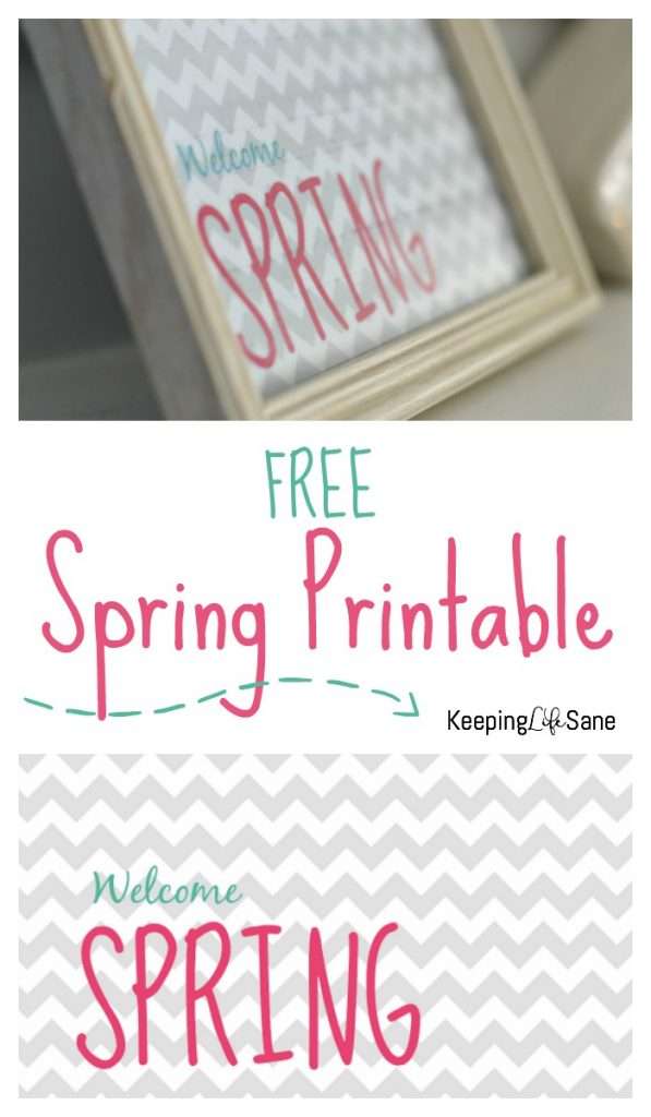 Spring is right around the corner. Here's a great FREE spring printable that you can print at home to decorate your mantel or coffee table.