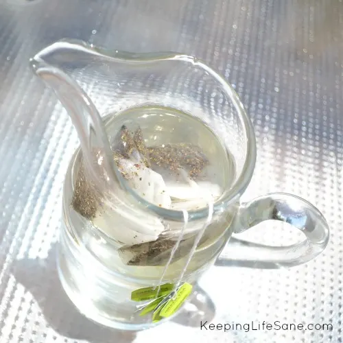 Glass pitcher sitting outside in the sun with tea bags