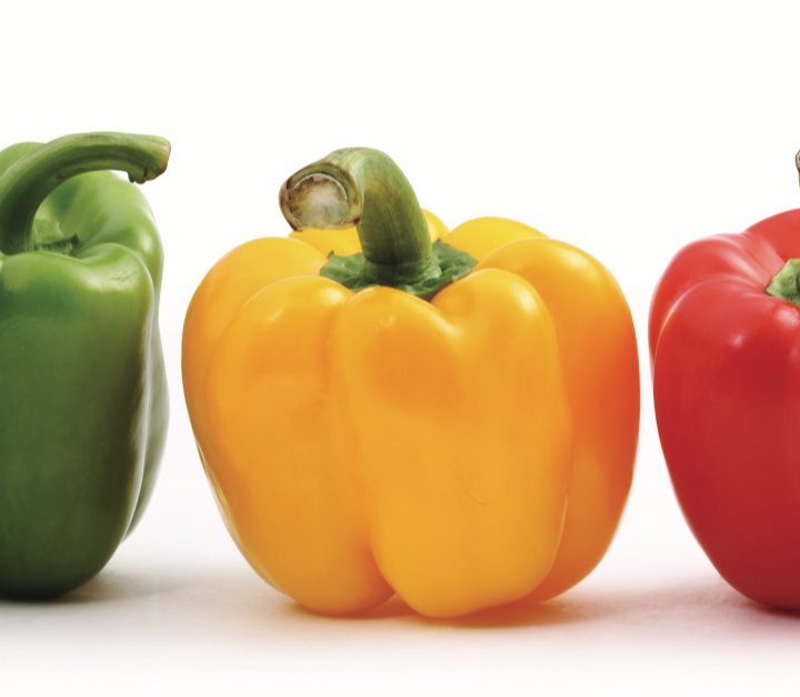 row of three peppers- green, yellow, and red