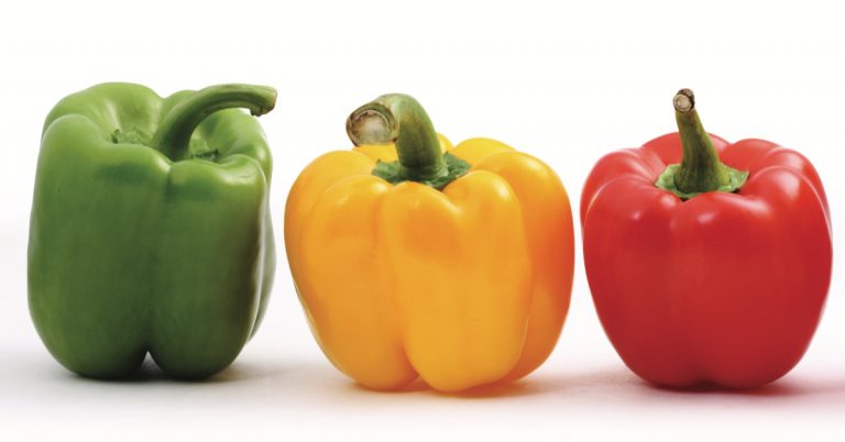 row of three peppers- green, yellow, and red