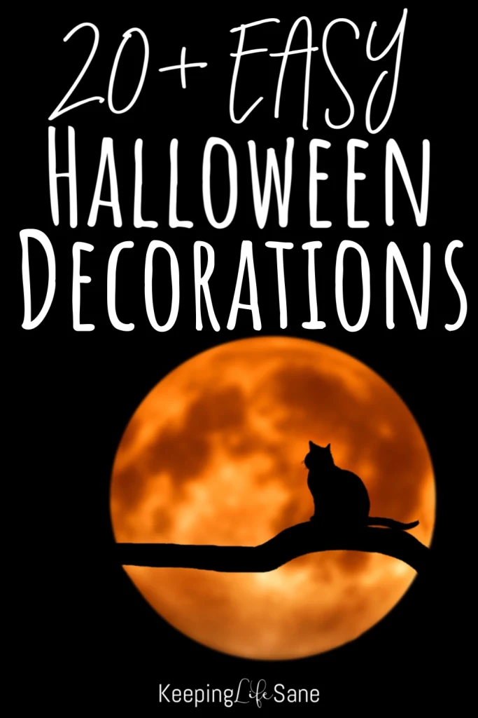 Halloween is coming and it's such a fun holiday. It's time to start decorating. Take a look at these easy halloween decorations.