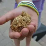 kid hand holding and protein ball for kids
