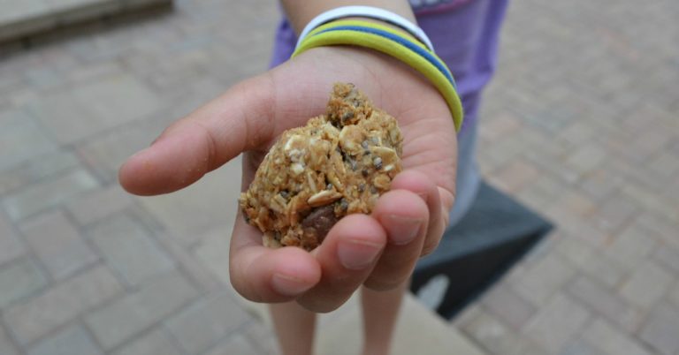 kid hand holding and protein ball for kids