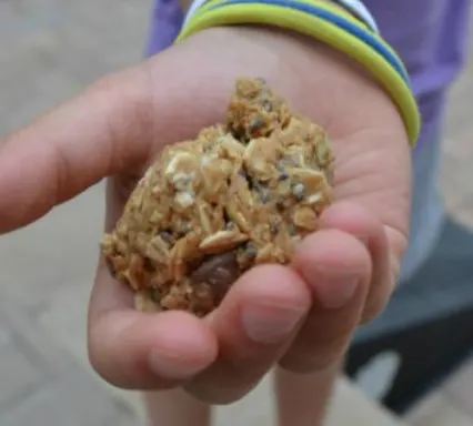 kid hand holding protein ball