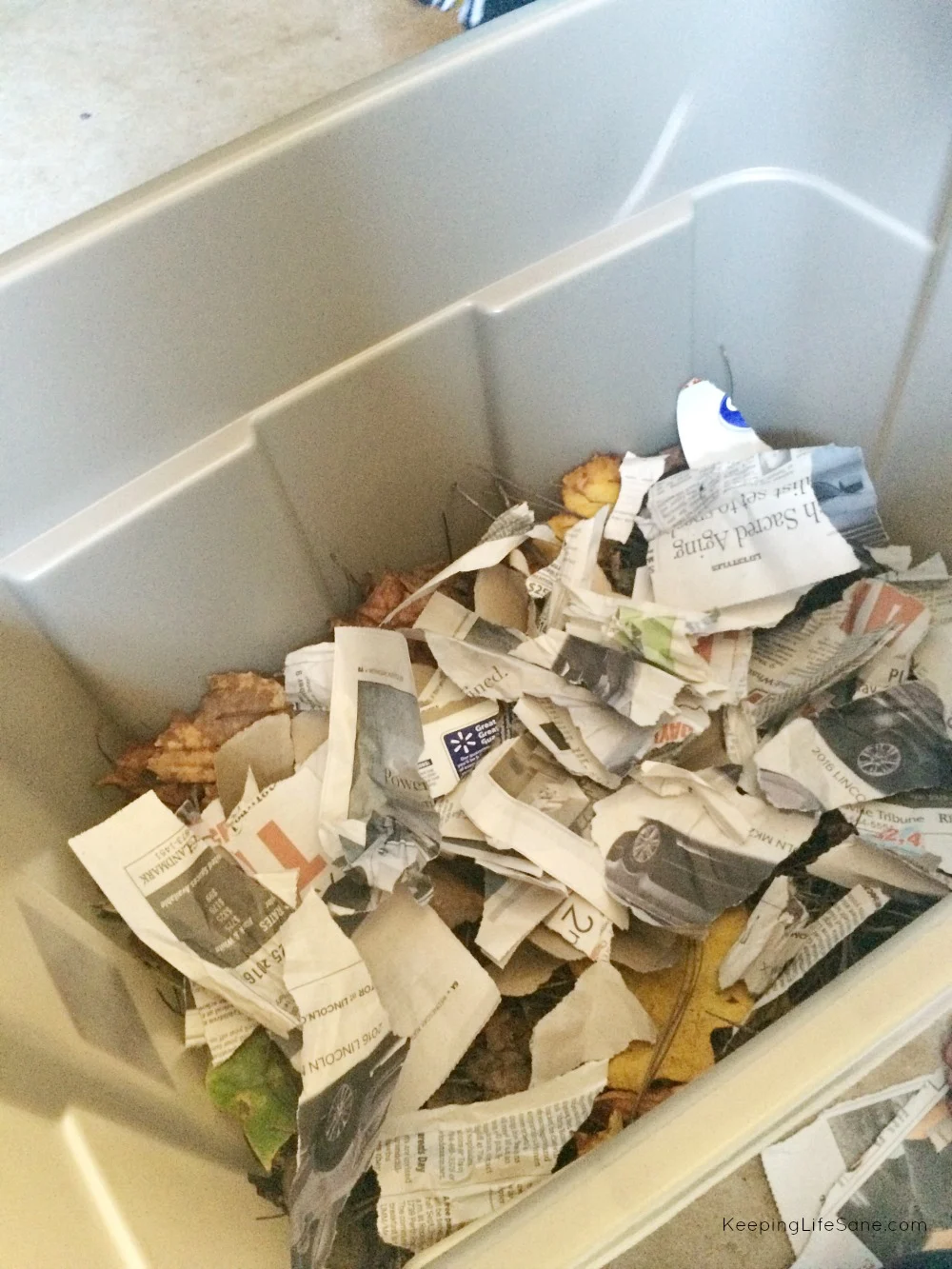Closeup of inside of Rubbermaid bin that has dried leaves and torn up pieces of newspaper inside.