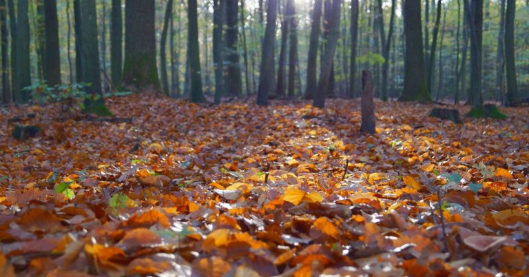 Does your child suffer from allergies? Here are some great tips you can do around the house to help them and reduce their suffering.