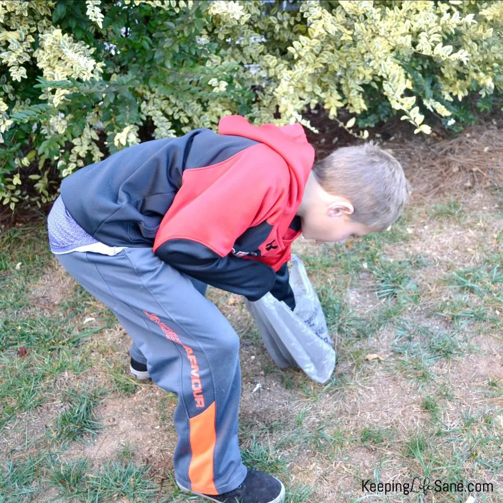 Chores for Tweens