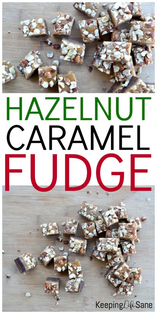 overhead view of chocolate hazelnut caramel fudge on cutting board.