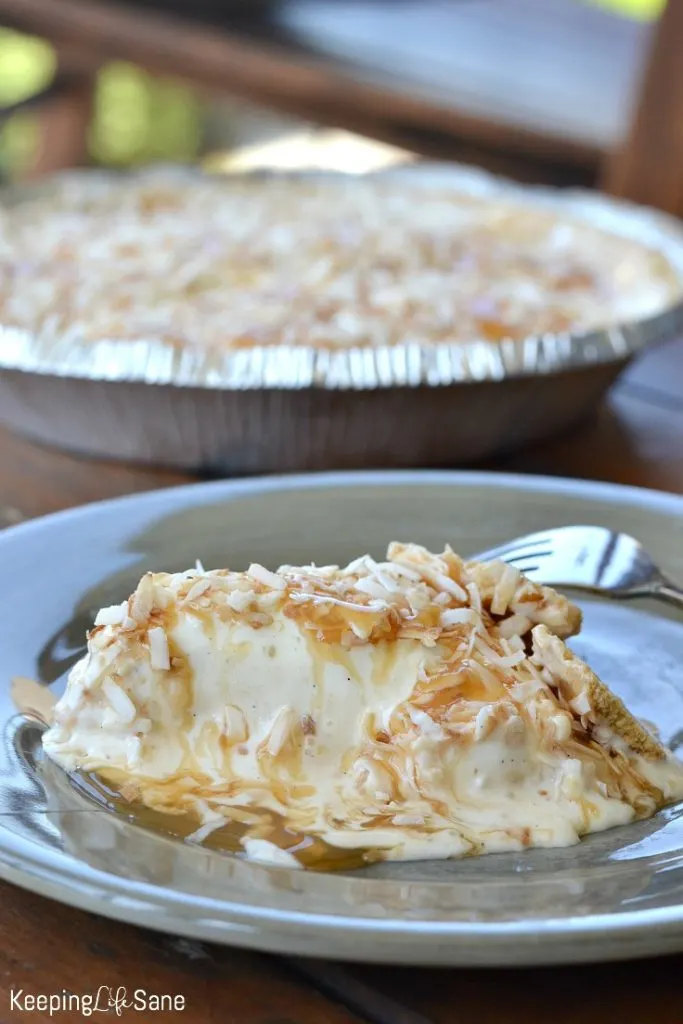 slice of melty coconut ice cream pie