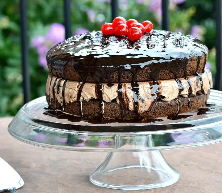 This chocolate lover's ICE CREAM CAKE is the best dessert during the summer. You have to check see how easy it is. So simple!