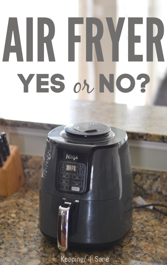 You may be wondering, "Should I buy an air fryer?" The answer is yes! Read all about them here and get an easy recipe to start with.