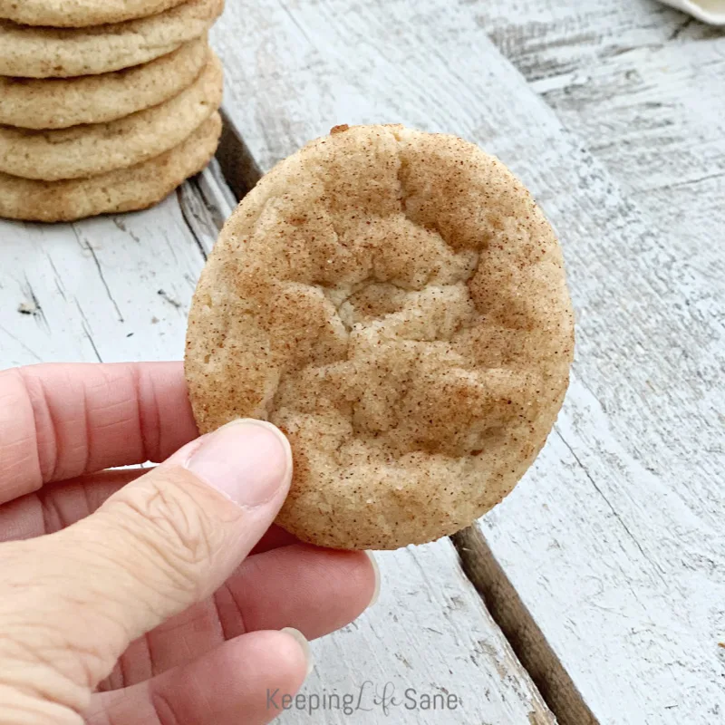 closeup of handing holding eggless snickerdoodle cookie