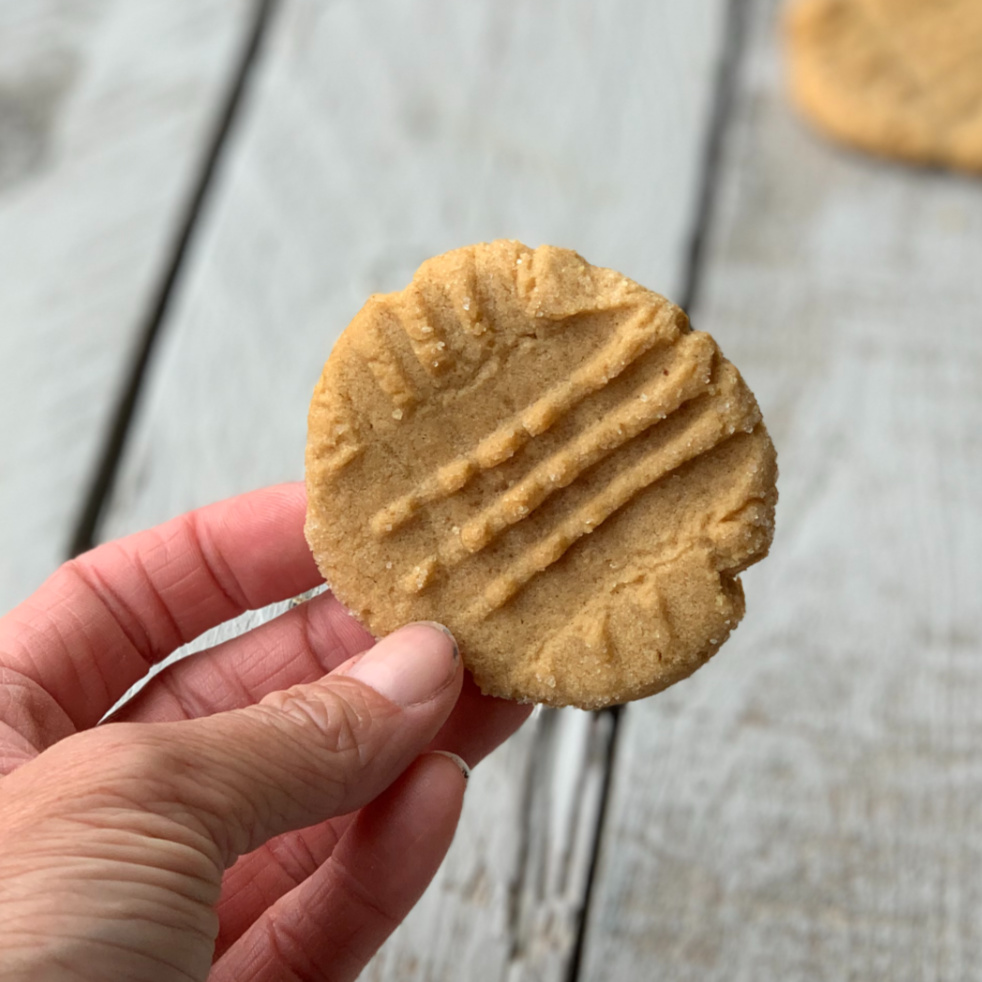 closeup of hand holding peanut butter cookie without eggs