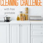 30-Day Cleaning Challenge Printable - Keeping Life Sane