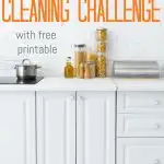 30-Day Cleaning Challenge Printable - Keeping Life Sane