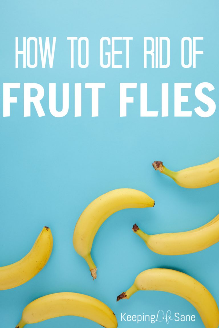 We went on vacation last week and while I was cleaning up before we left I noticed there were a TON of fruit flies on my bananas. You are going to LOVE this hack on how to get rid of fruit flies FAST!