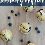 5 blueberry muffins from overhead with blueberries sprinkled around.