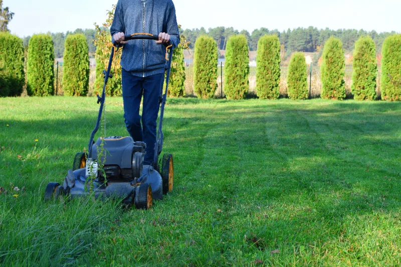 boy mowing big grassy field with trees lines up at the back of the yard