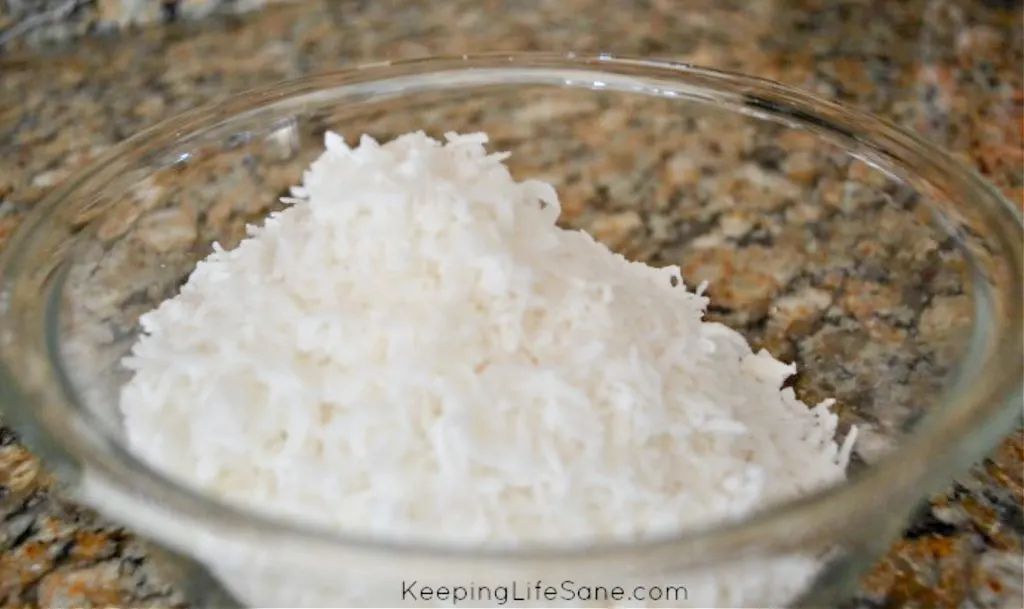 coconut that's not toasted in clear bowl on counter top
