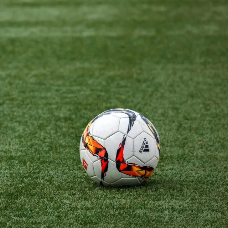 soccer ball on green grass